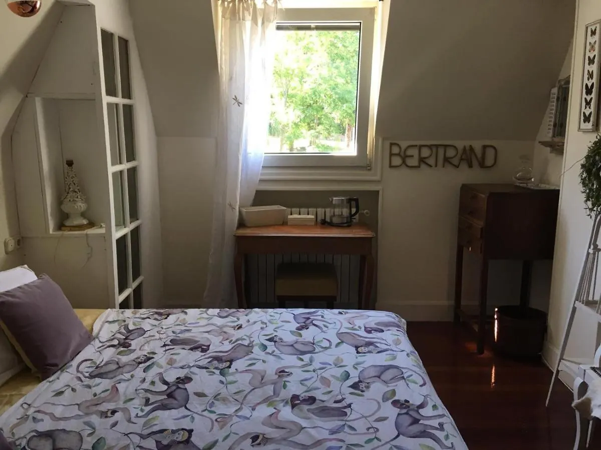 Homestay Far Out Collective Apartment San Sebastian